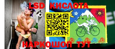 мдпв Бийск