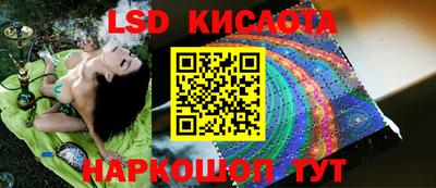 мдпв Бийск