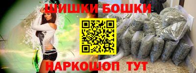 мдпв Бийск