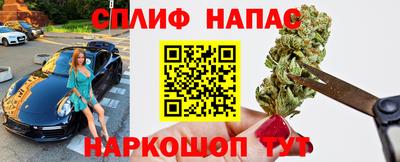 мдпв Бийск