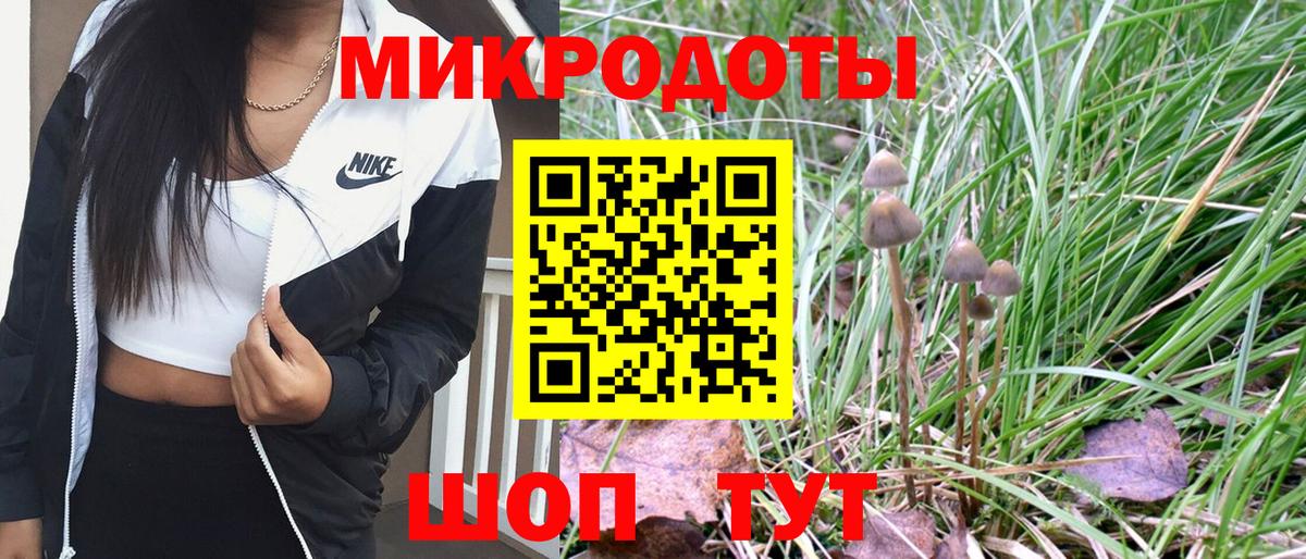 Галлюциногенные грибы Psilocybe  Вход с VPN  Кириши 
