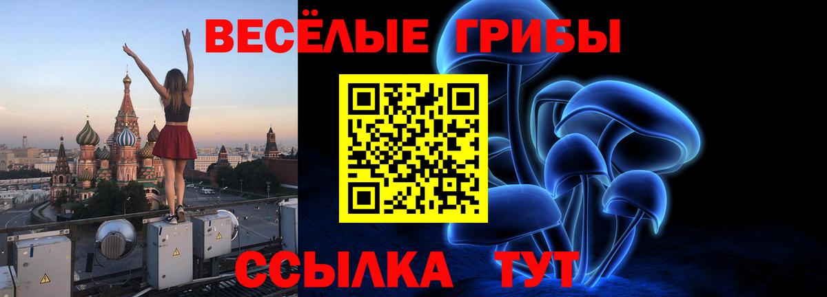 Псилоцибиновые грибы GOLDEN TEACHER Кириши