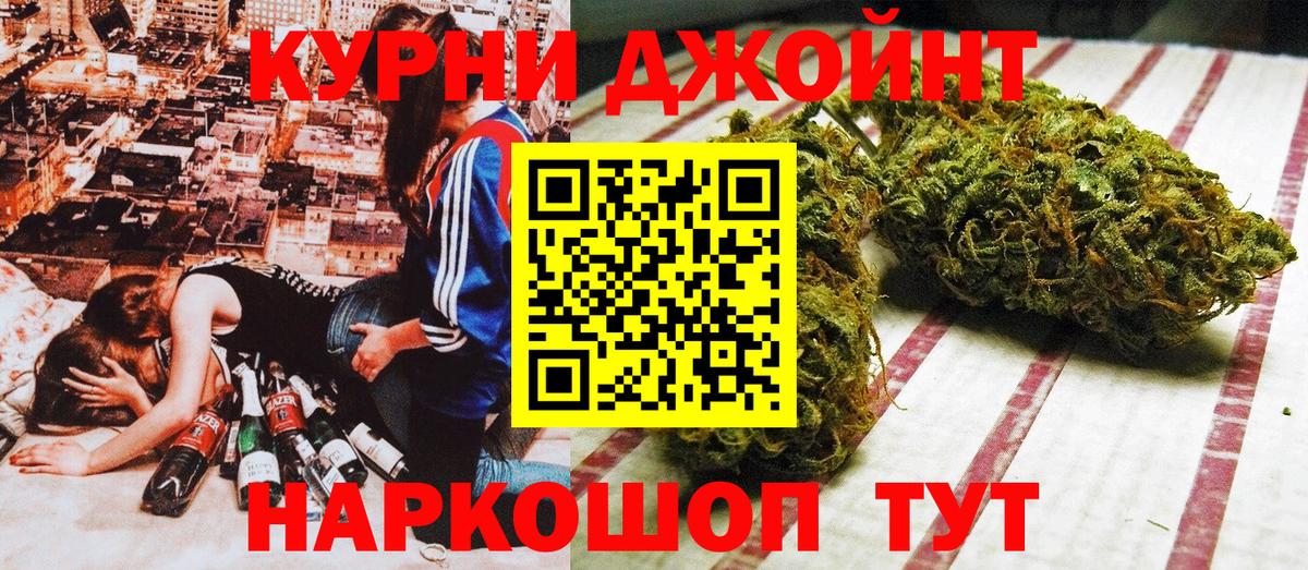 Каннабис OG Kush Кириши